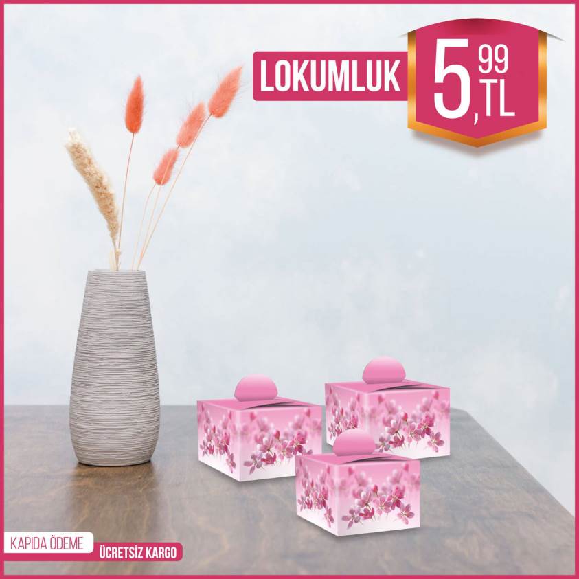 Pembe Lokumluk -128